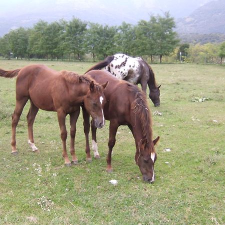 Agriturismo Al Ranch Castello dʼAviano Eksteriør billede