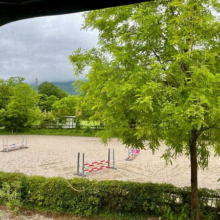 Agriturismo Al Ranch Castello dʼAviano Eksteriør billede
