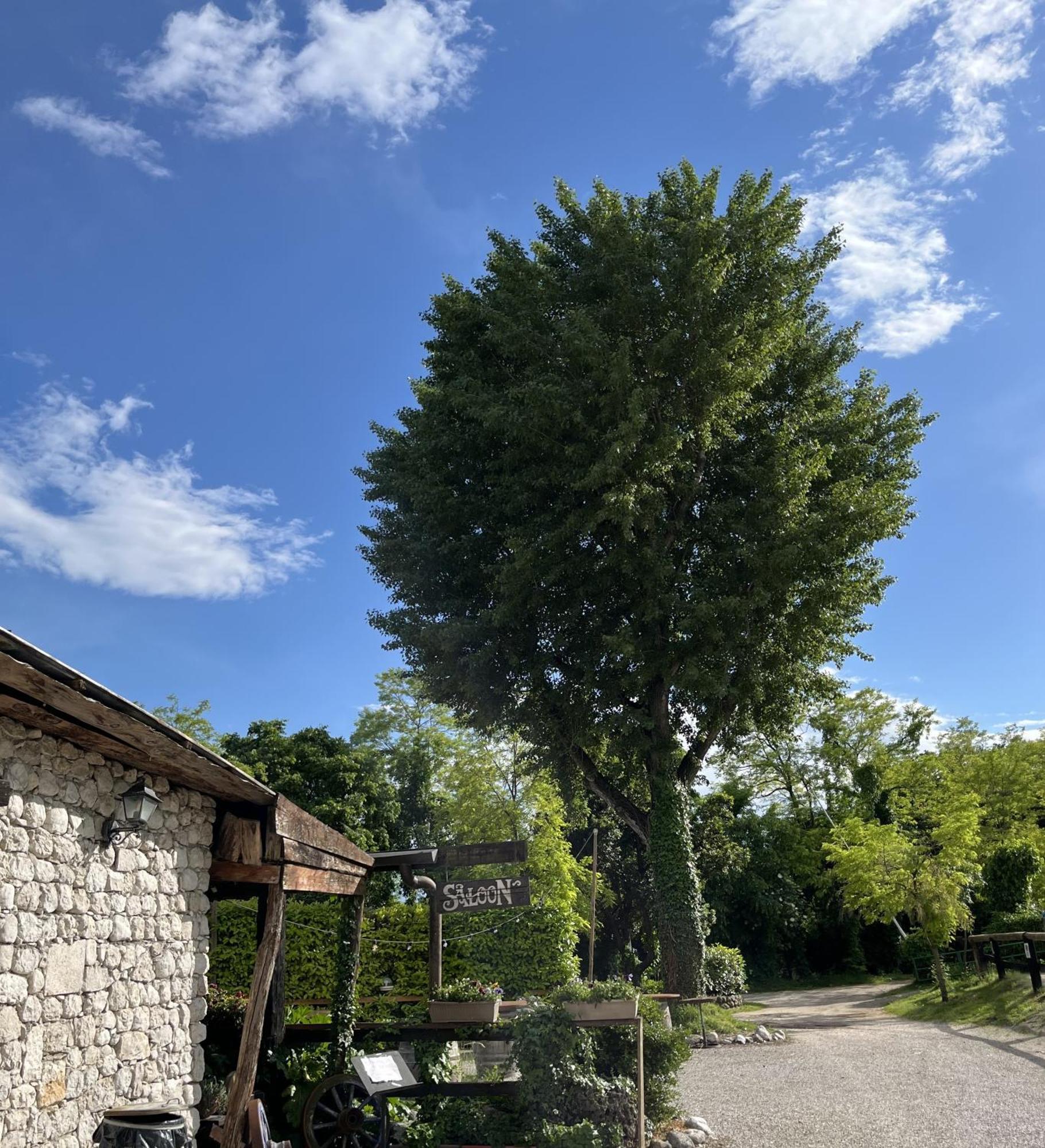 Agriturismo Al Ranch Castello dʼAviano Eksteriør billede