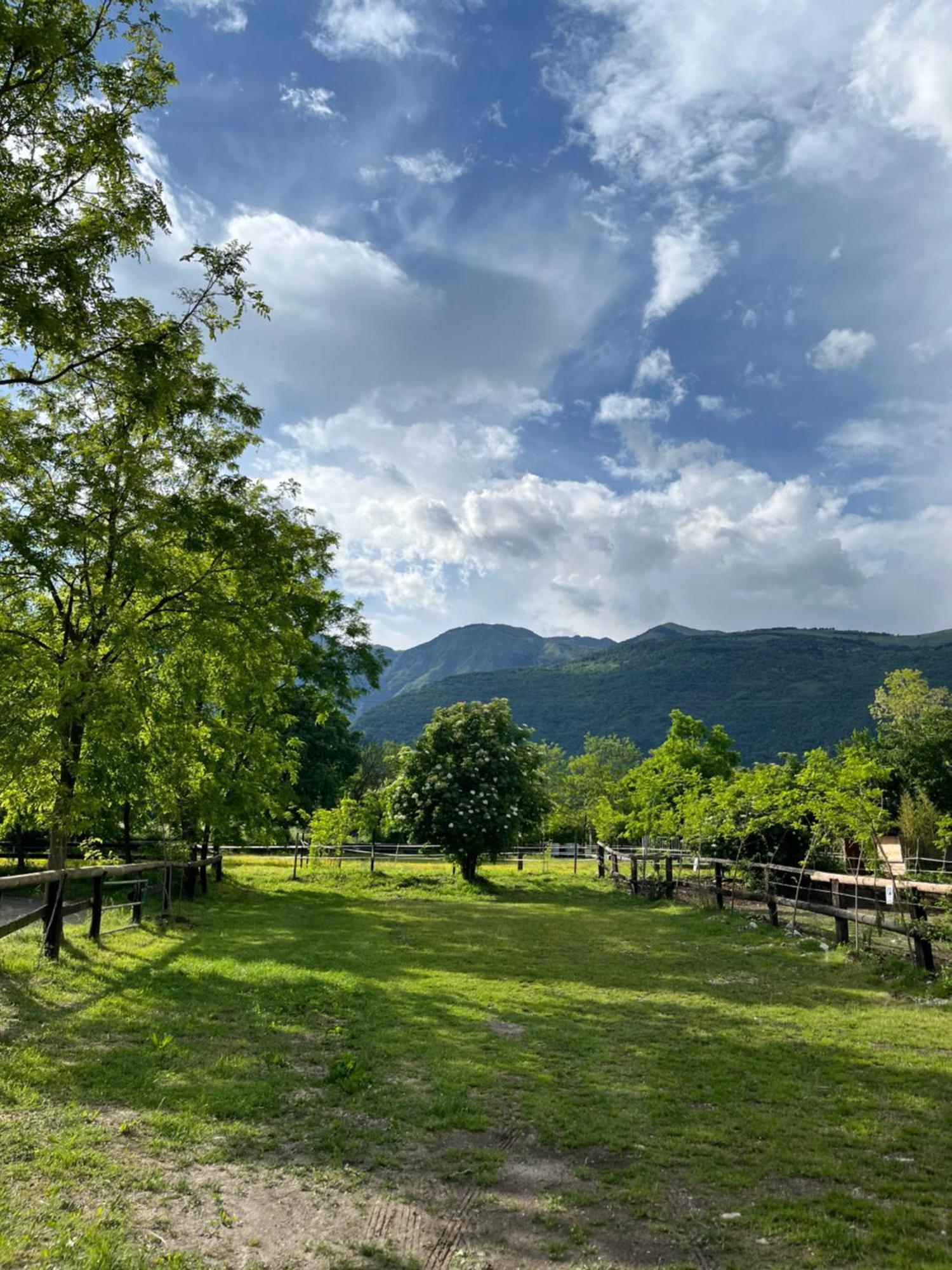 Agriturismo Al Ranch Castello dʼAviano Eksteriør billede