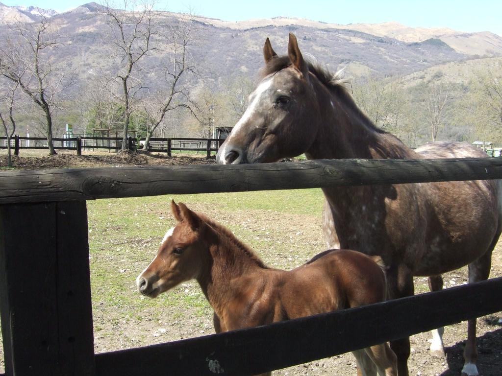 Agriturismo Al Ranch Castello dʼAviano Eksteriør billede