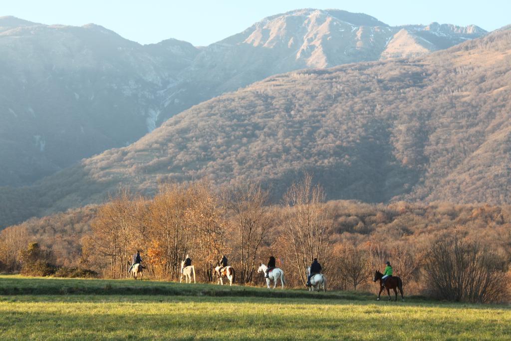 Agriturismo Al Ranch Castello dʼAviano Eksteriør billede